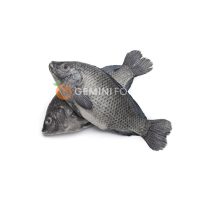 Tilapia Whole 300g-500g