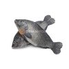 Tilapia Whole 500g-800g