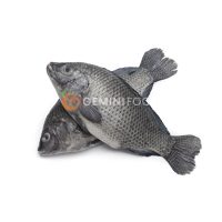 Tilapia Whole 500g-800g
