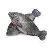 Tilapia Whole 800g