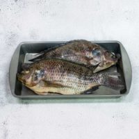 Tilapia Whole Fish Bag