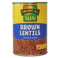 TS Brown Lentils in Salted Water 400g