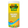 TS Falafel Spice 100g