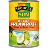 TS Jamaican Breadfruit in Salted Water