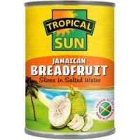 TS Jamaican Breadfruit in Salted Water