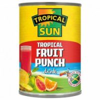 TS Tropical Fruit Punch 540ml