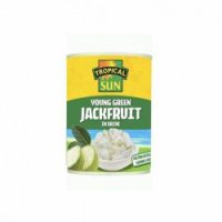 TS Young Green Jackfruit in Brine