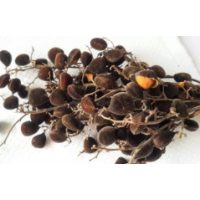 Velvet Tamarind (Icheku Awin) 150g