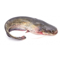 Whole Catfish Bag 2.2kg