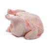 Whole Frozen Fresh Broiler Chicken
