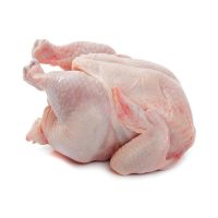 Whole Frozen Fresh Broiler Chicken