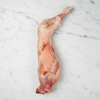 Whole Pyrenean Milk-Fed Lamb, Fresh, +/-7-8kg