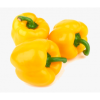 Yellow Bell Peppers (3)