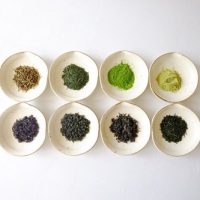 -Japanese tea gift- A set of 10 types of Japanese tea for comparison